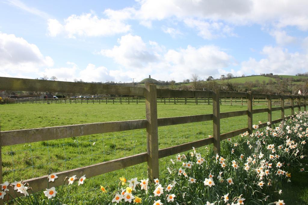 Middlewick Holiday Cottages Glastonbury Dış mekan fotoğraf