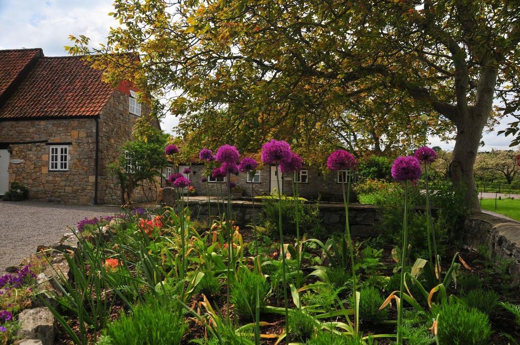 Middlewick Holiday Cottages Glastonbury Dış mekan fotoğraf